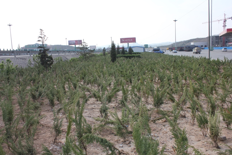 �������ٹ�·������վ�^(q��)�G������ȫ��չ�_(k��i)